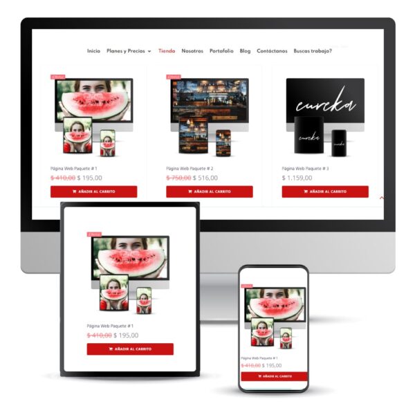 Package 5: Online Store with up to 30 Products